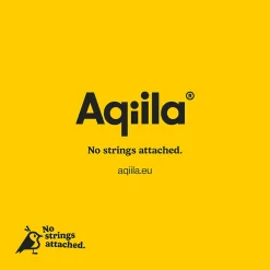 Aqiila tagbird sporingsbrikke nøkkelring 1-pack