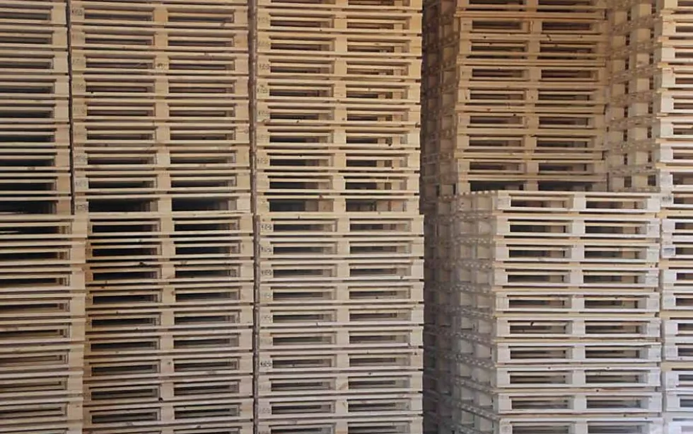 Engangspall cp3 1200x1200 mm