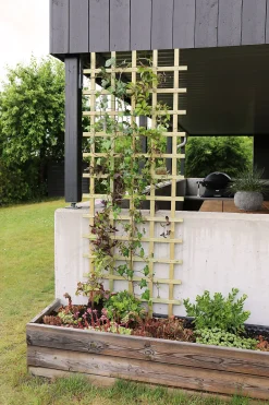 Espalier smal imp