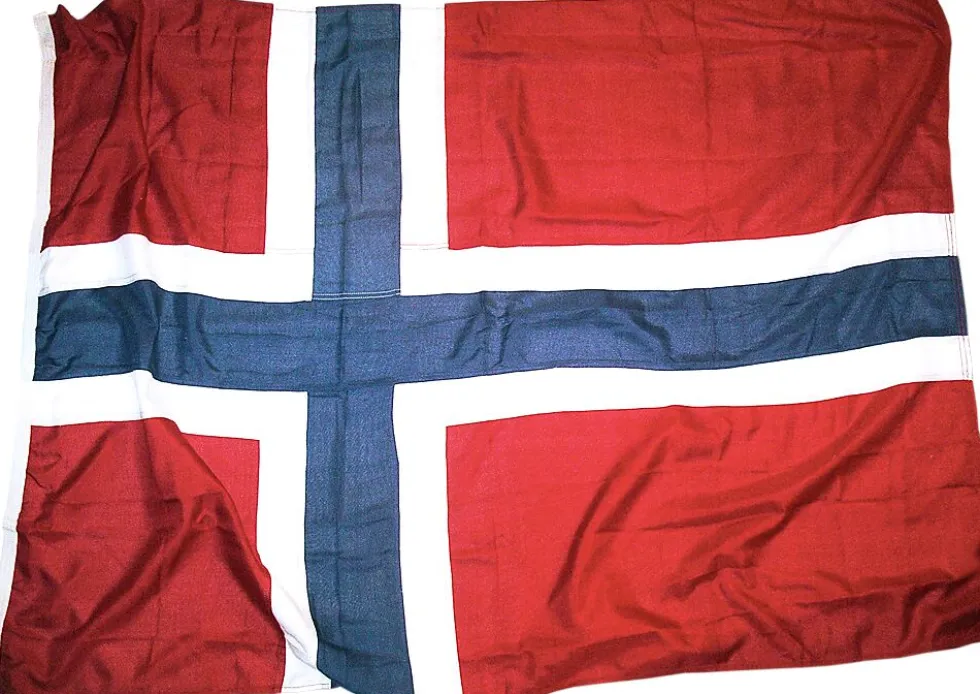 Flagg 300cm norsk vevd polyester