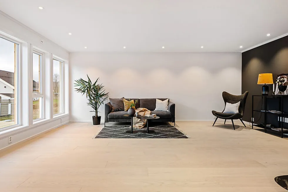 Forestia sponplate premium ceiling 12x620x1220 mm
