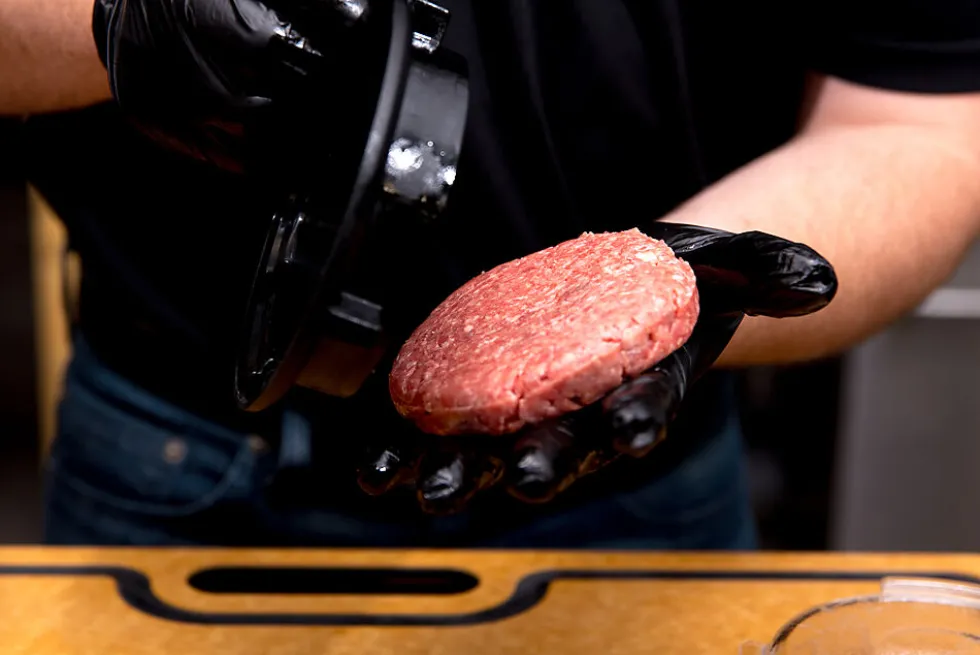 Hamburgerpresse