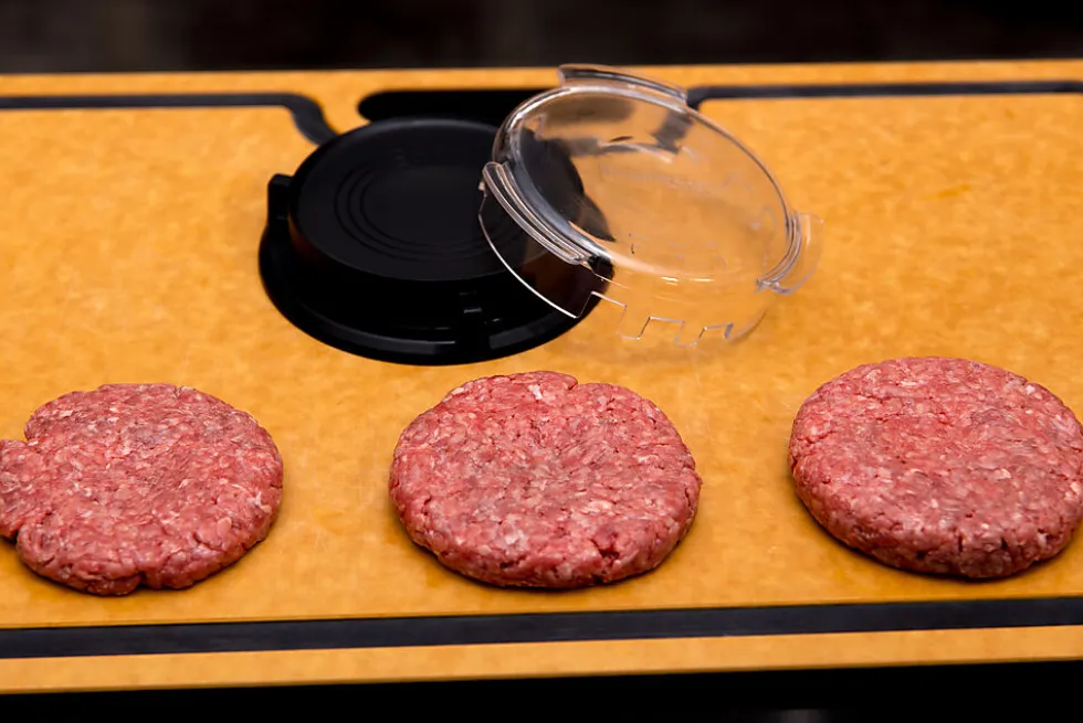 Hamburgerpresse