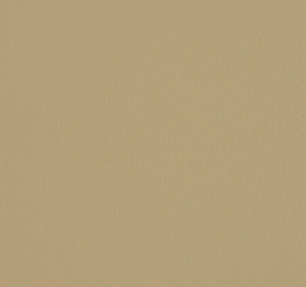 Kjøkkenplate 5003K00 met copper