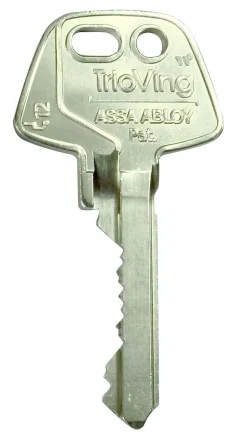 Nøkkelemne d12