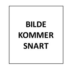 Påfyllingstut til alkylatbensin