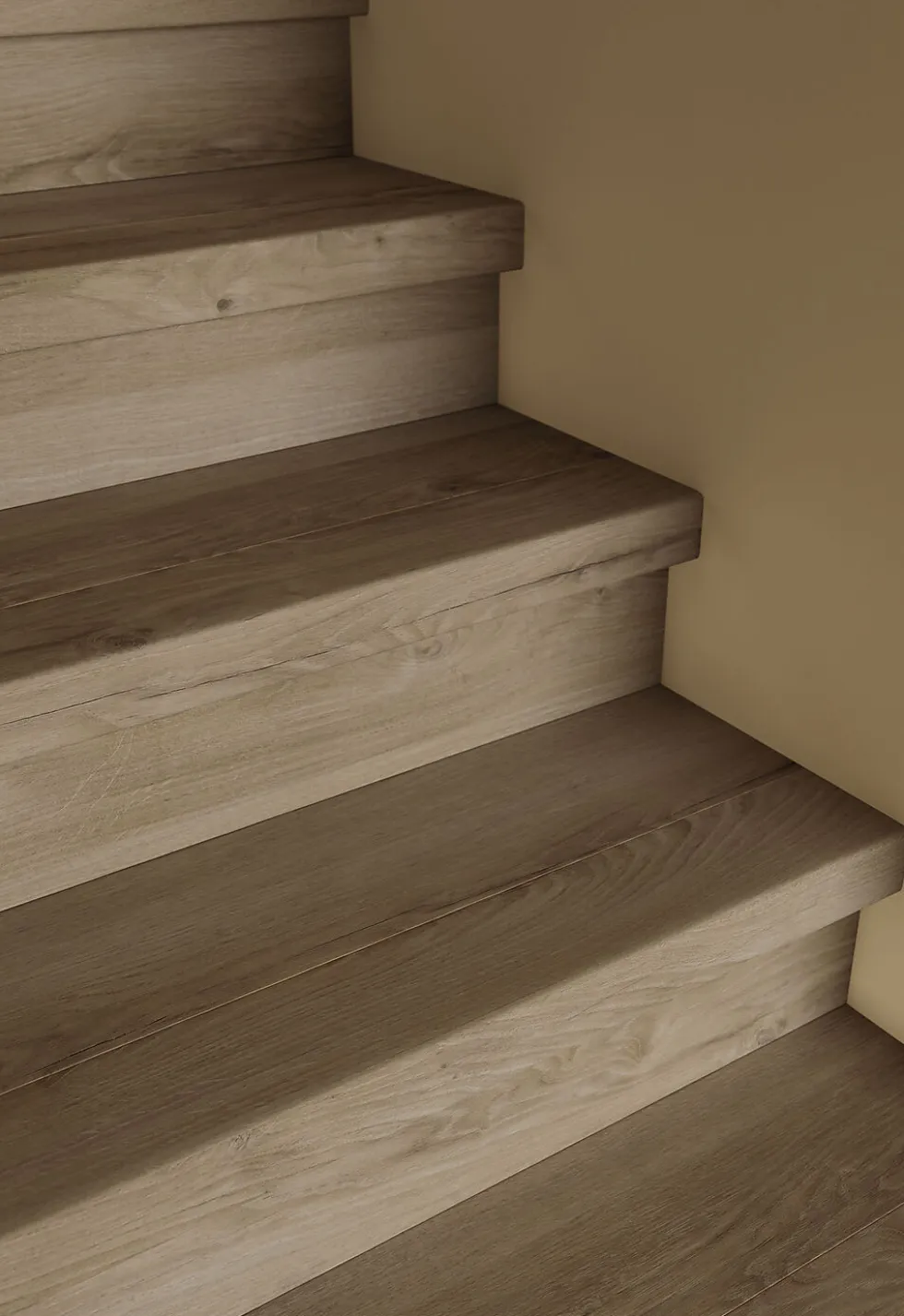 Trappenese 1,1 meter HPF Rodeo Drive