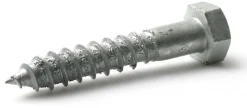 Treskrue fransk vf 6kt 6x50 a100 4.6 din571 ann