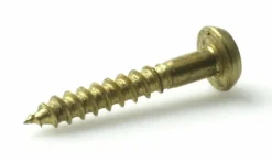 Treskrue pan ms 4x30 a20 pz2 ann