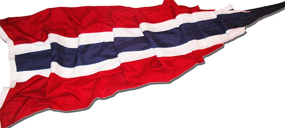 Vimpel 200cm norsk vevd polyester