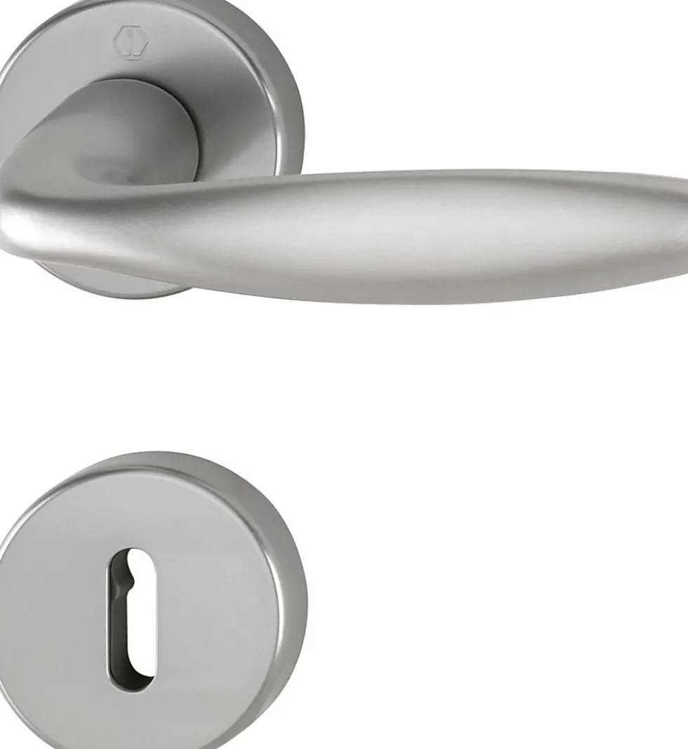 Vrider dør new york stainless dørvrider stål